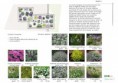 /album/la-conception-cest-quoi-/presentation-massif-11-jpg/